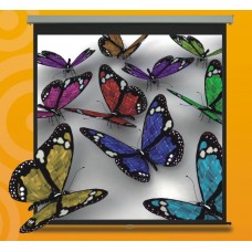 Xcellent Motorised C Series Screen 70"X70"